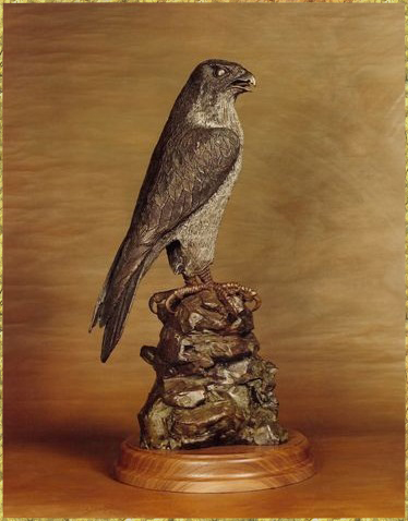 Peregrine Falcon for Prince Charles and Princess Diana